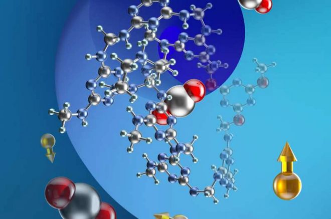 循环低碳与生物基可持续材料产业深度研究报告